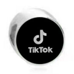 Netflix Instagram TikTok Charm