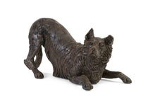 Border Collie Urn - Sparks Charms